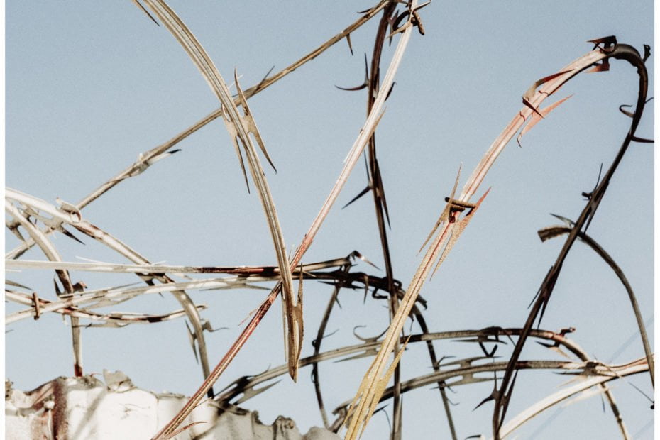 Big Takeover_Madhouse