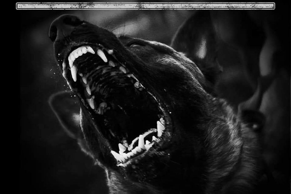 Street Soldier_Turn Dangerous