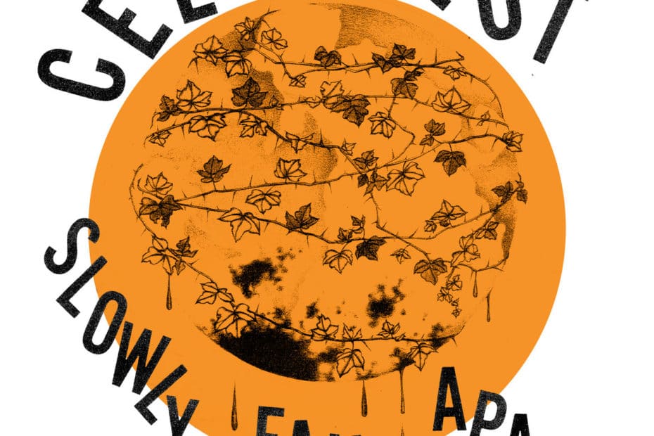 Cell Rot_Slowly Falls Apart