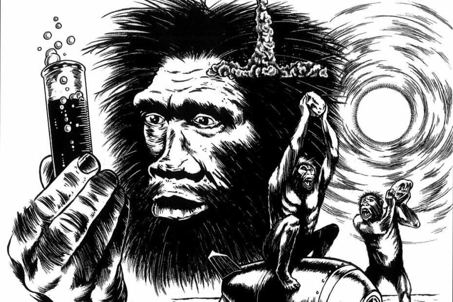 Illiterates_No Experts