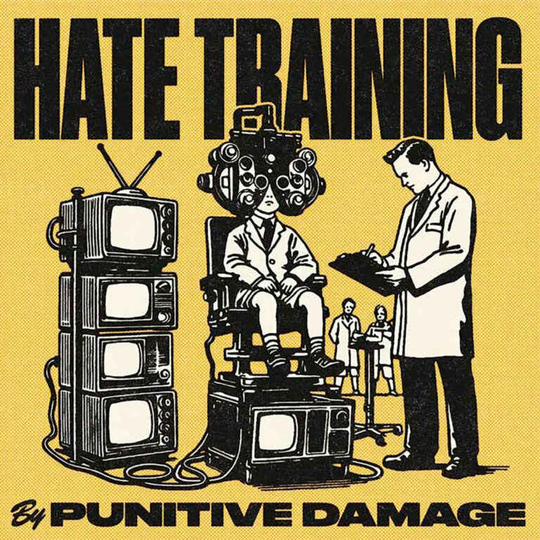 Punitive Damage_Hate Training